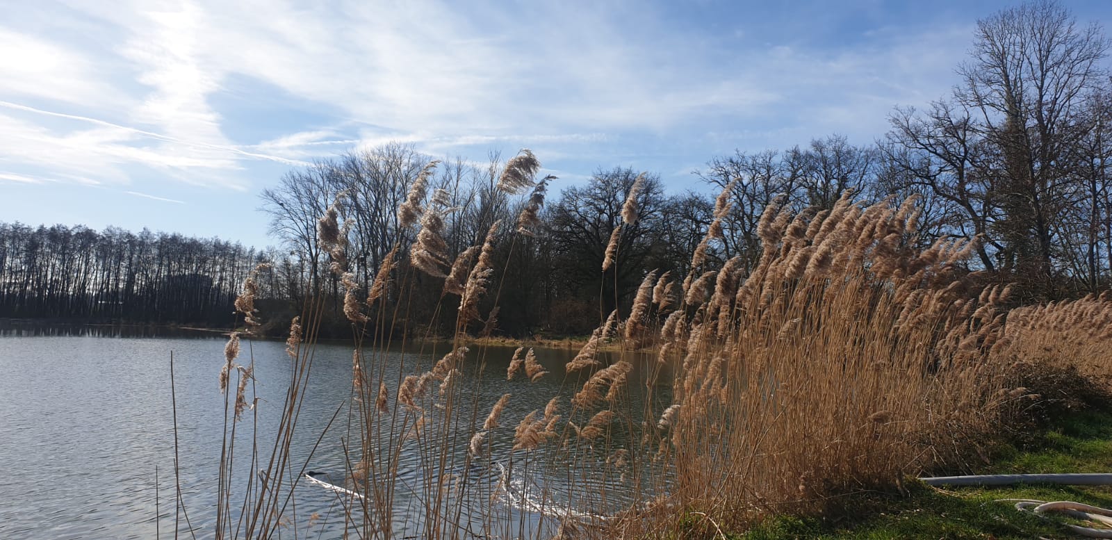 Etang15